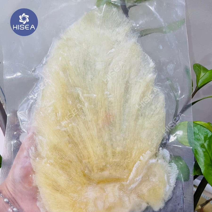 Vi cá tươi - cước dày