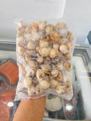Cồi Sò Điệp Hấp Nisi 40 -60 Cồi