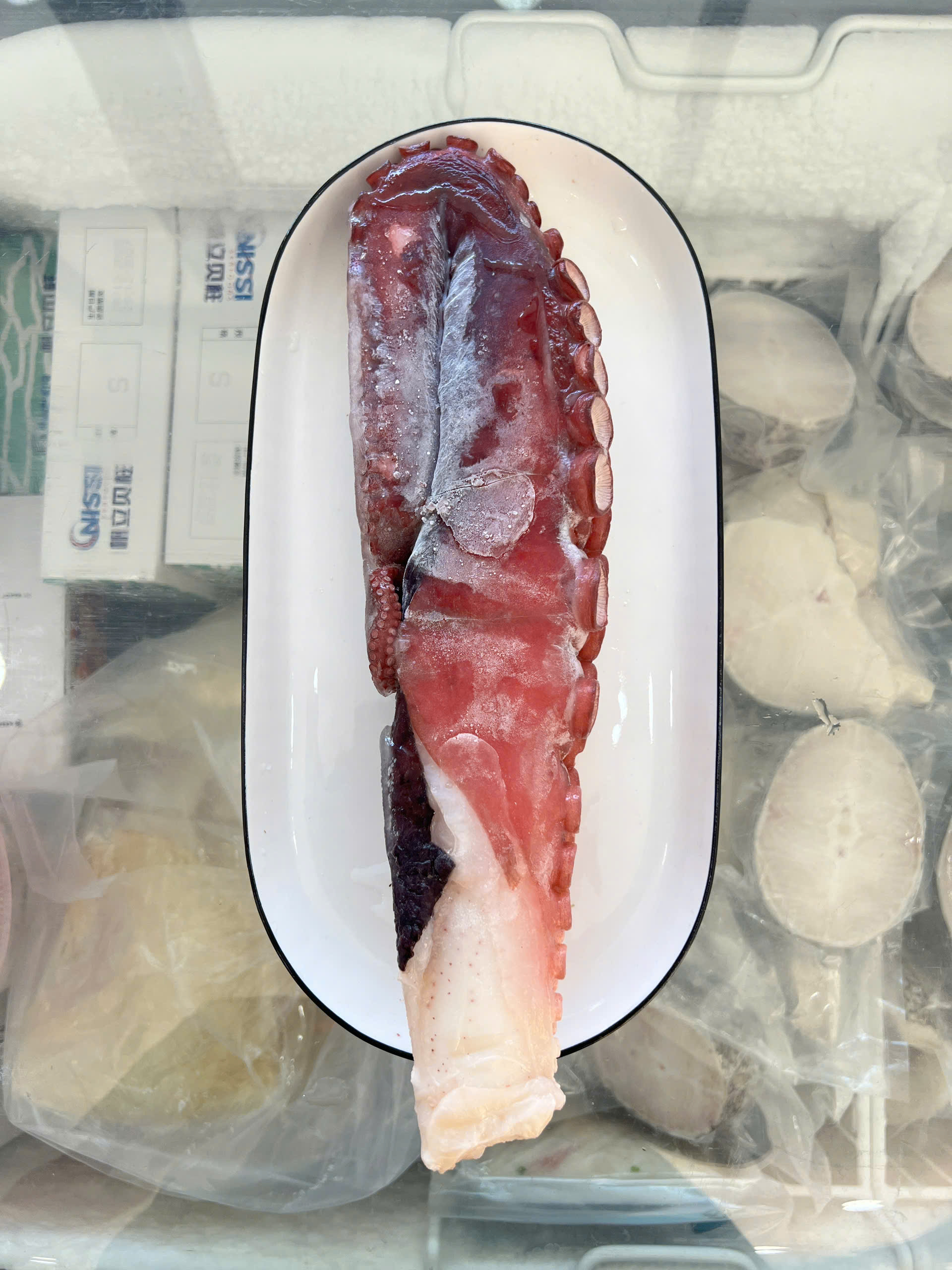 Bạch Tuột Nhật - Ảnh 3