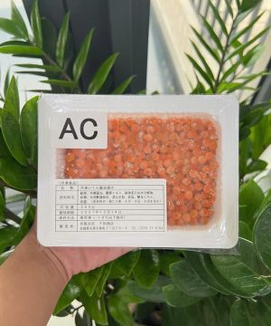 Trứng Cá Hồi (Chuẩn Sahsimi)