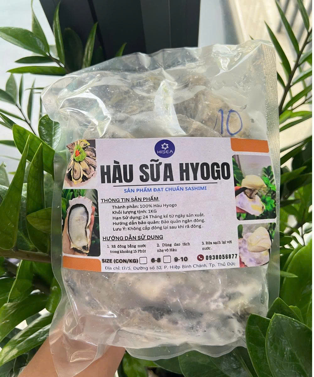 Hàu Sữa Nhật Hyogo
