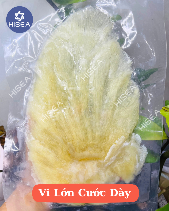 Kích thước vi cá size lớn 300-400gram/Vi 