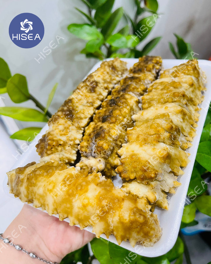 Hải Sâm Gai Vàng Sẽ Có Màu Không Được Đều