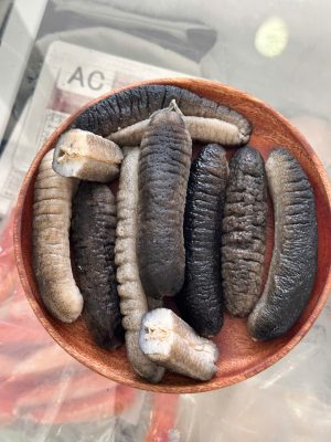 Hải sâm cát size 16 - 20 con/kg