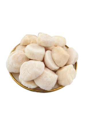 Cồi Sò Điệp Hokkaido Nhật 16 - 20 Cồi